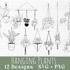Paquete de plantas svg dibujadas a mano / plantas colgantes svg png clipart / plantas en macetas svg / plantas de interior svg / monstera svg / plantas en macetas svg