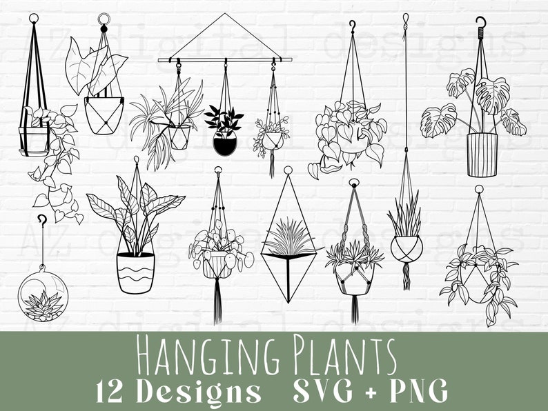 Download Plants svg bundle hand drawn hanging plants svg png ...