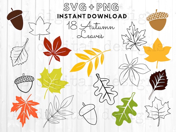 Autumn Leaves Svg Bundle Fall Leaves Svg Leaf Svg Png Etsy