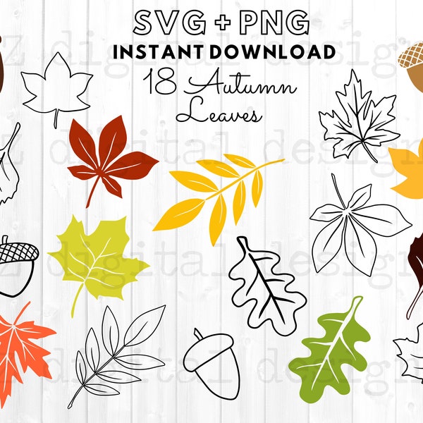 Autumn leaves svg bundle | fall leaves svg | leaf svg png clipart | fall leaf pattern svg | fall svg autumn svg | nature svg | acorn svg png