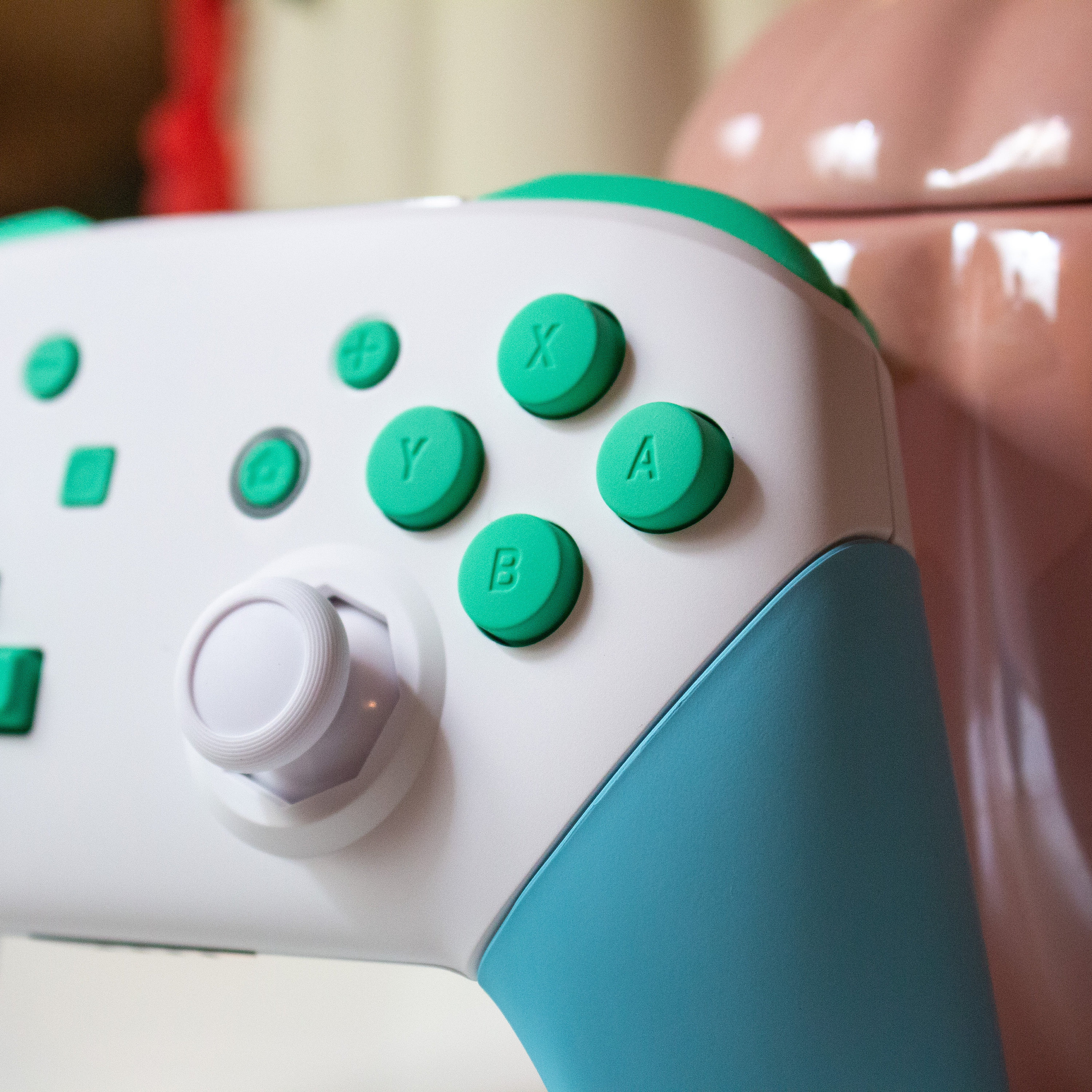 Acnh pro controller sales