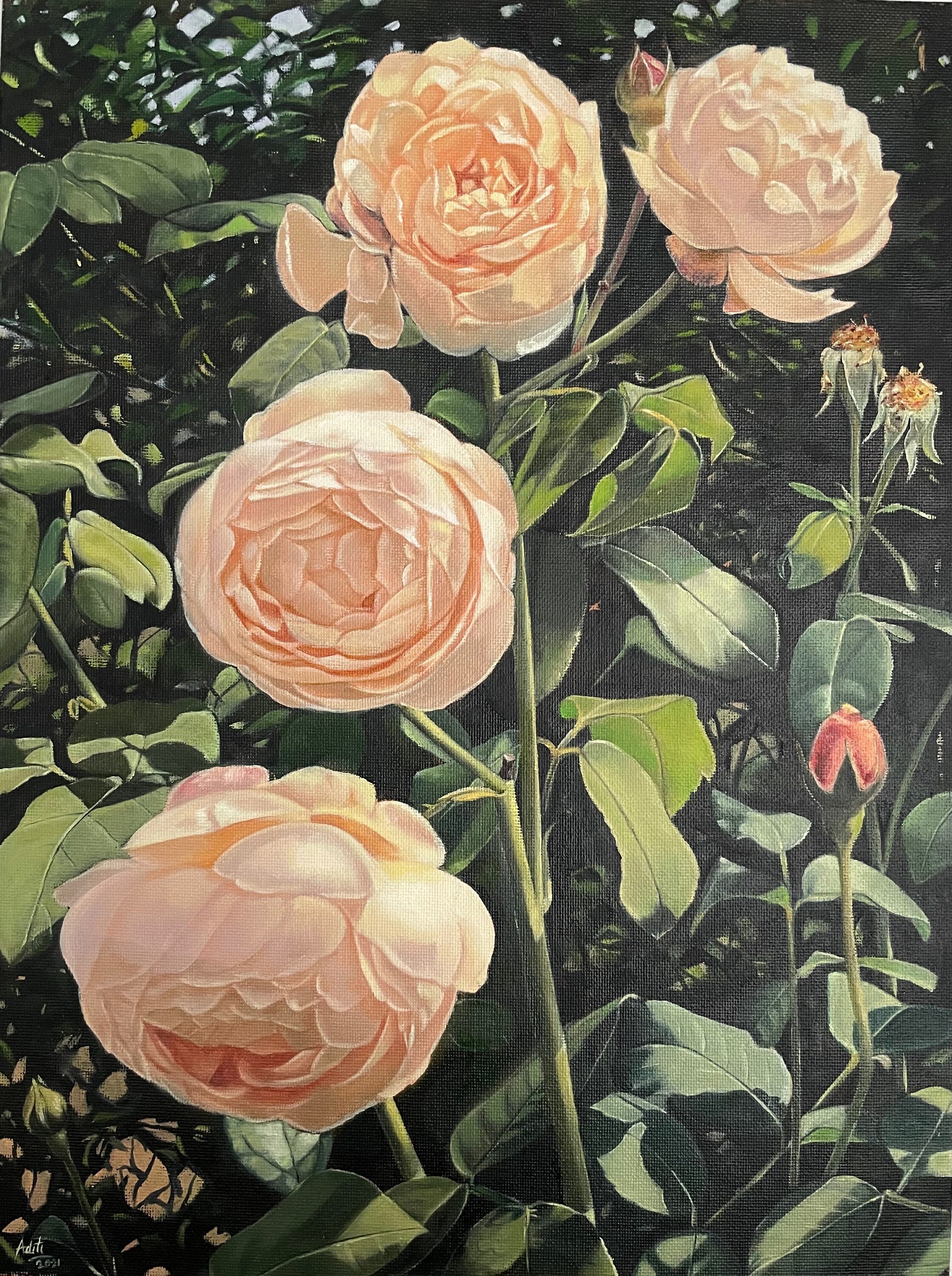 Garden Roses Oil Painting on Canvas - Etsy