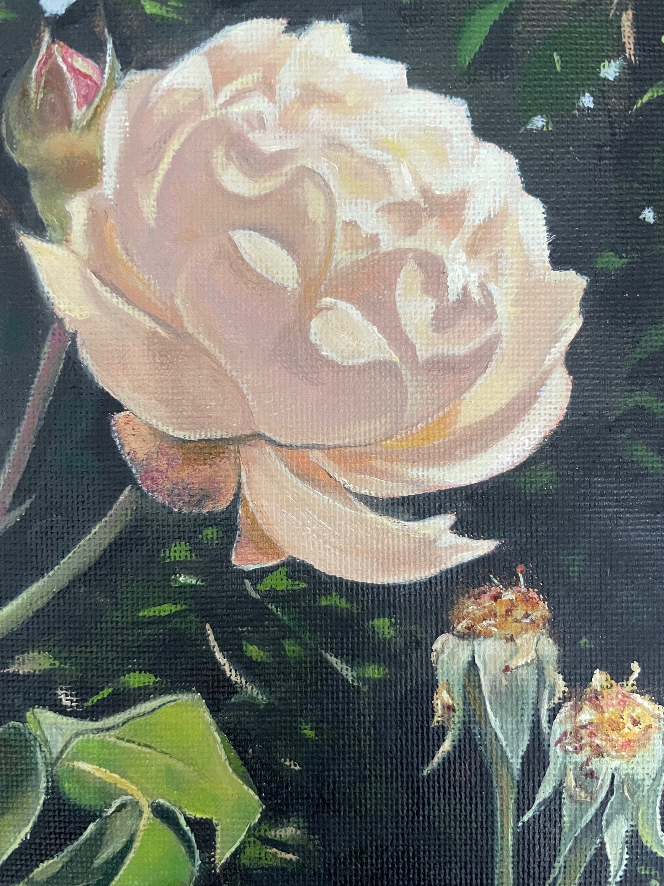Garden Roses Oil Painting on Canvas - Etsy