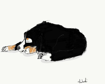 Bernese nap