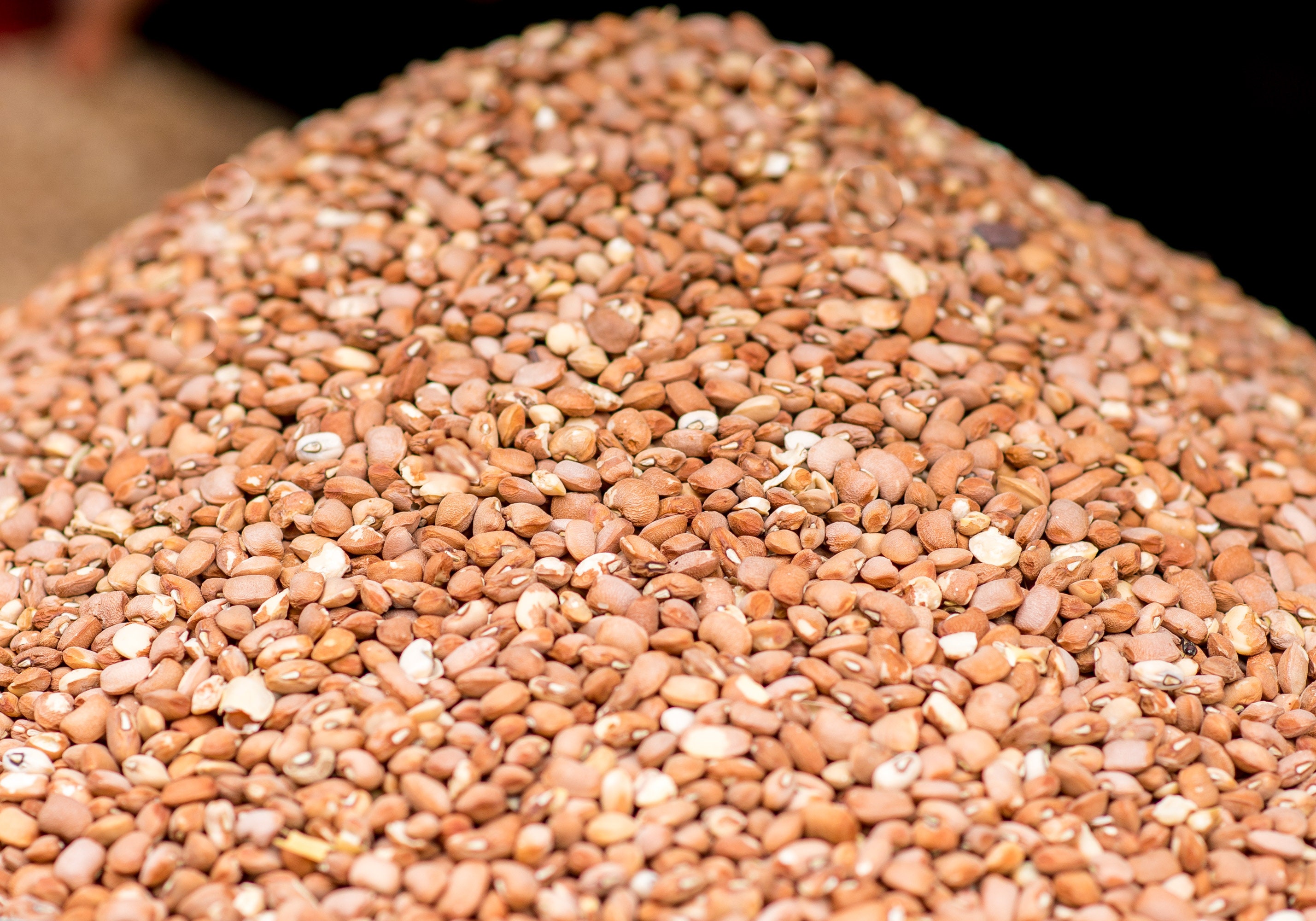 Beans / Nigeria Beans/ Ewa Oloyin/Honey Beans/ Ewa Aganyin Etsy