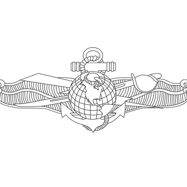 US Navy Enlisted Information Warfare Specialist (EIWS) insignia