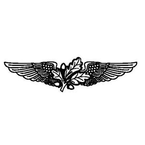 Naval Aviation Supply Officer Insignia