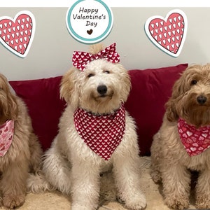 Valentines Day Dog Bandana, Dog Bandana, Valentines Dog Bandana, Valentines Dog, Valentines Day, Dog lover gift, Dog mom