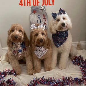 4th of July dog bandana, Fourth of July dog, Patriotic dog Bandana, Fourth of July dog bandana, dog bandana, 4th of July bandana