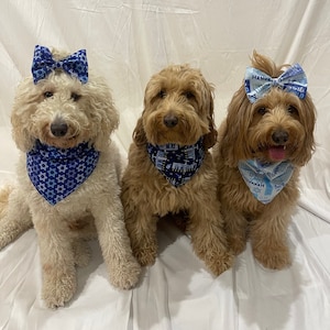 I want a puppy for hanukkah best sale