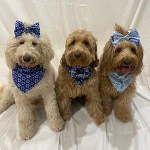 Hanukkah Dog Bandana, Hanukkah, Hanukkah Dog Bandana and Matching hair scrunchie, Hanukkah Dog, Hanukkah gift, Hanukkah Pet