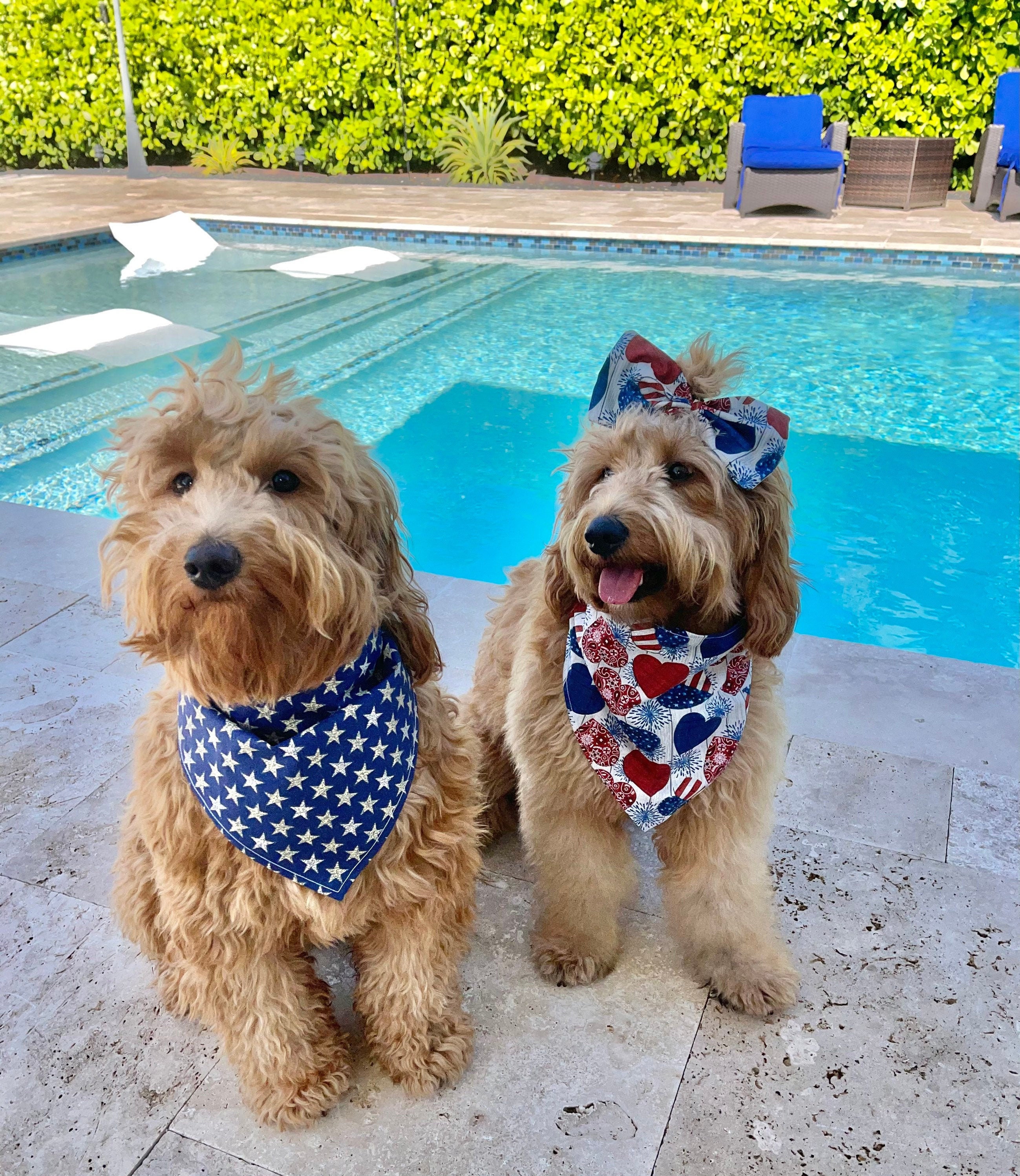 Patriotic Dog Bandana, 4th of July dog bandana, Personalized dog band…