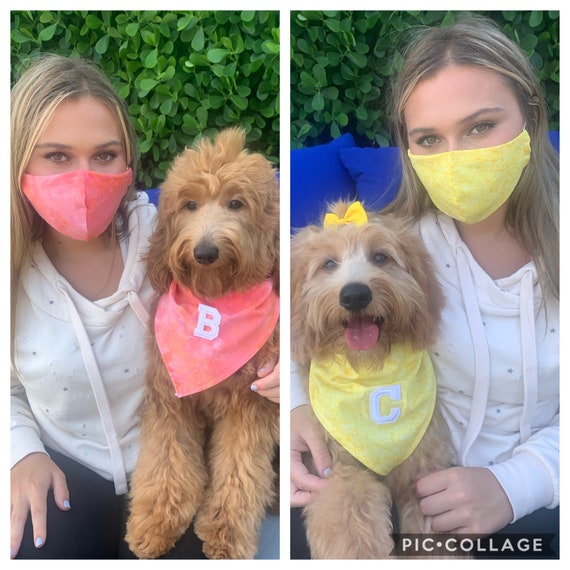 Dog Bandanas and Matching Owner Face Dog pillowcase | Etsy