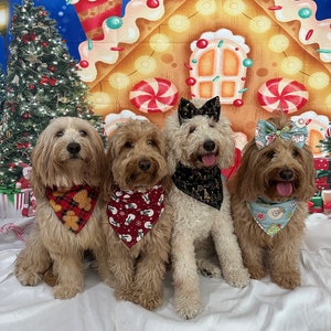 Grinch top dog bandana