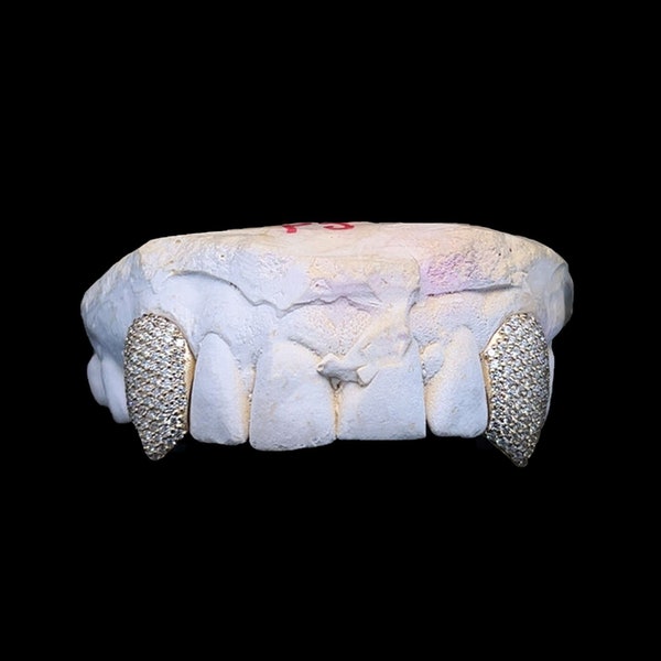 Iced Out Moissanite Diamond Canine K9 Teeth Grillz in 925 Sterling Silver/ 10K Gold/ 14K Gold Birthday Gift For Her And Him