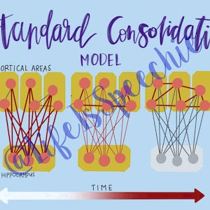 Standard Consolidation Model Diagram