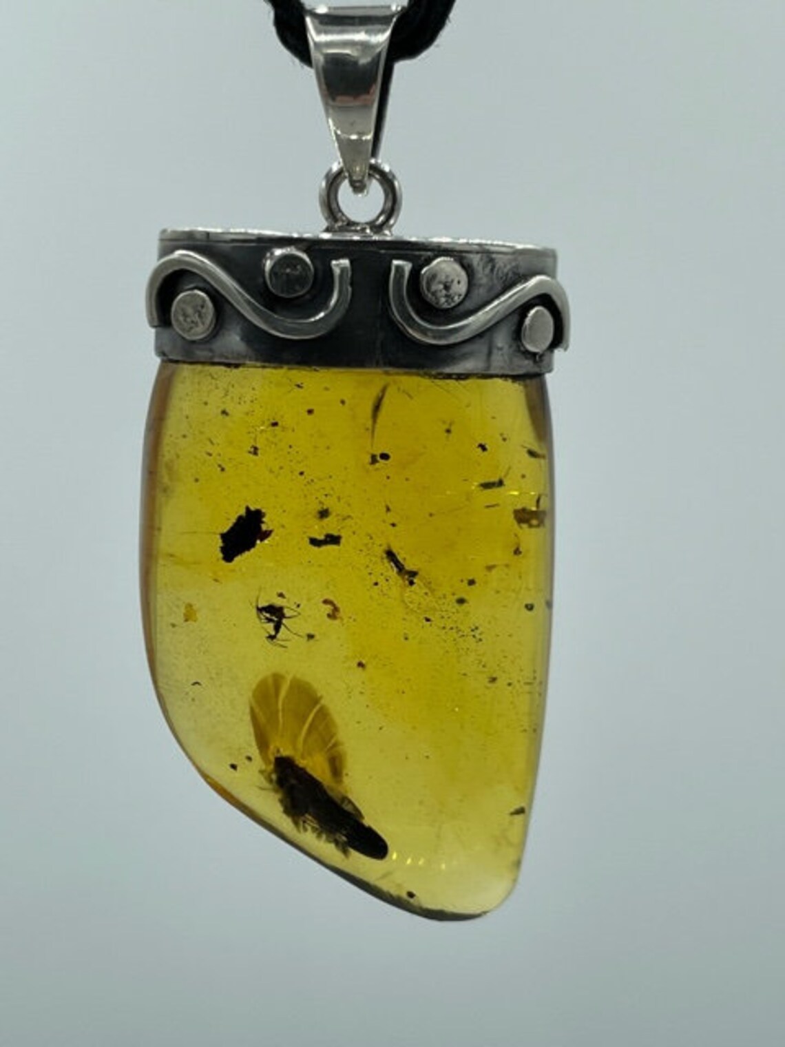 Amber Pendant Fossil Insect Natural Honey Unisex Jewelry Etsy UK