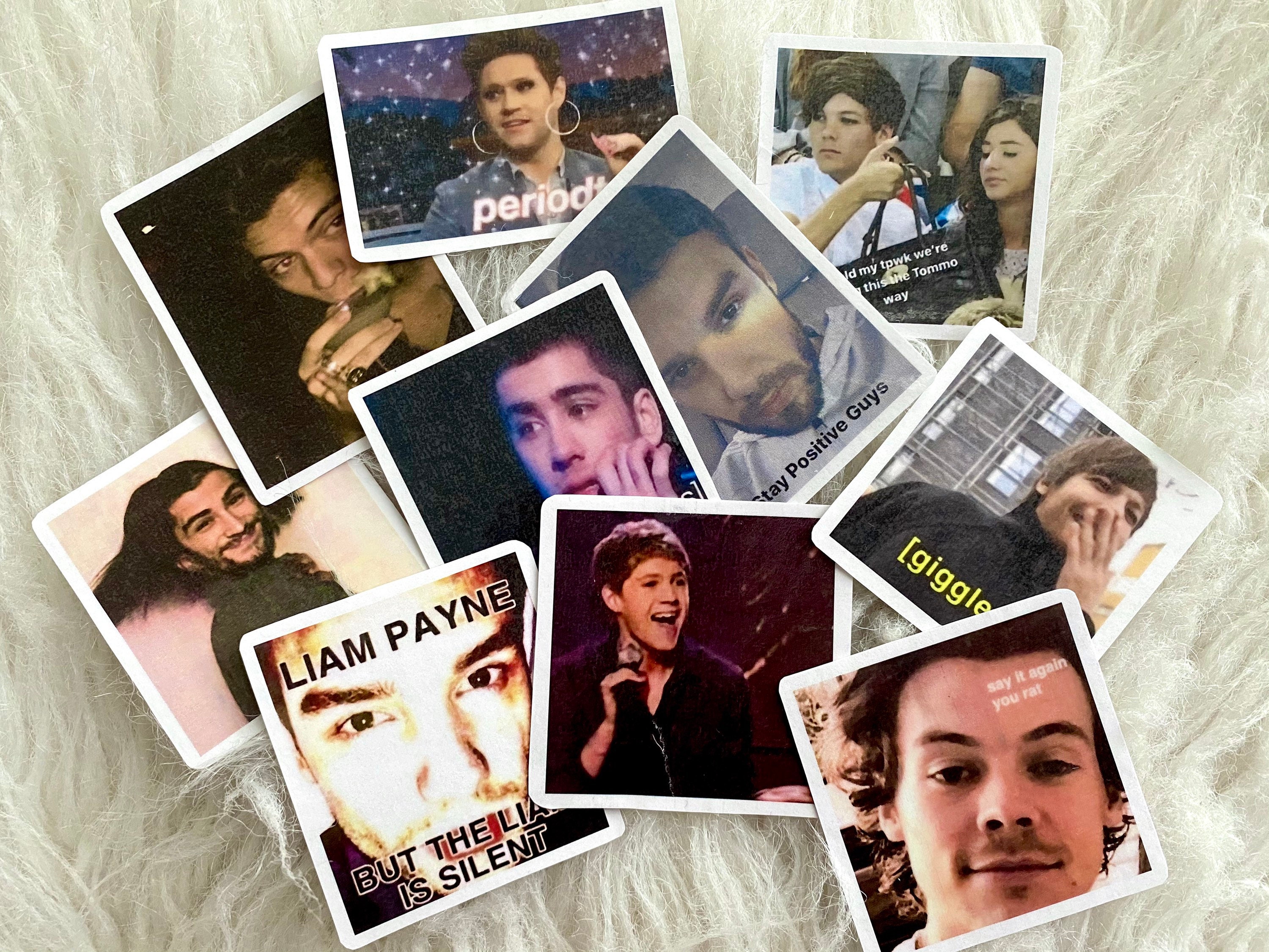 One Direction Meme Stickers Series 1 Etsy