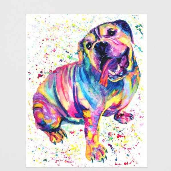 Slobbery English Bulldog Watercolor Prints and Greeting Cards