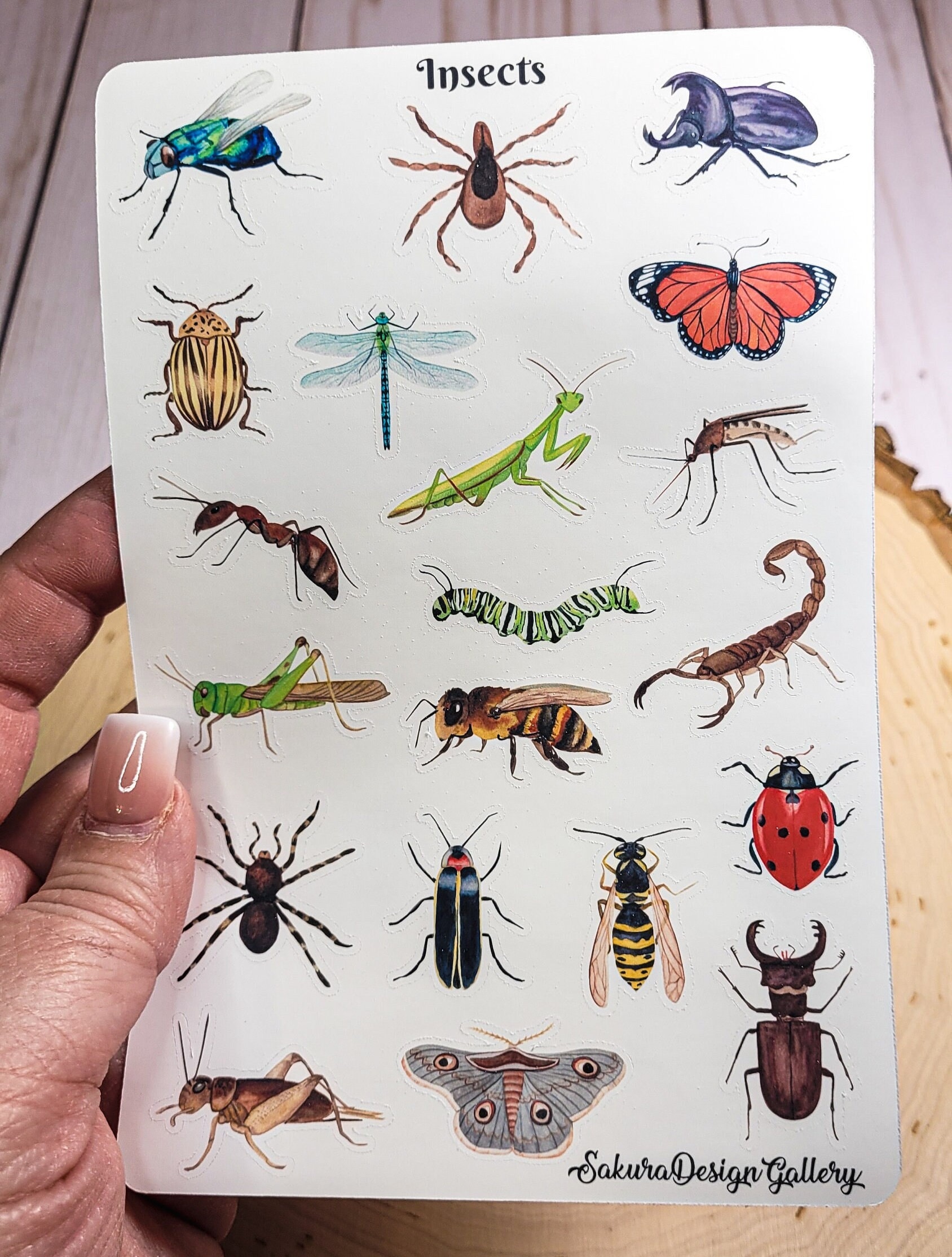 Insect Names Stickers Insect Sticker Sheet, Bug Stickers, Journal Stickers, Scrapbook ...