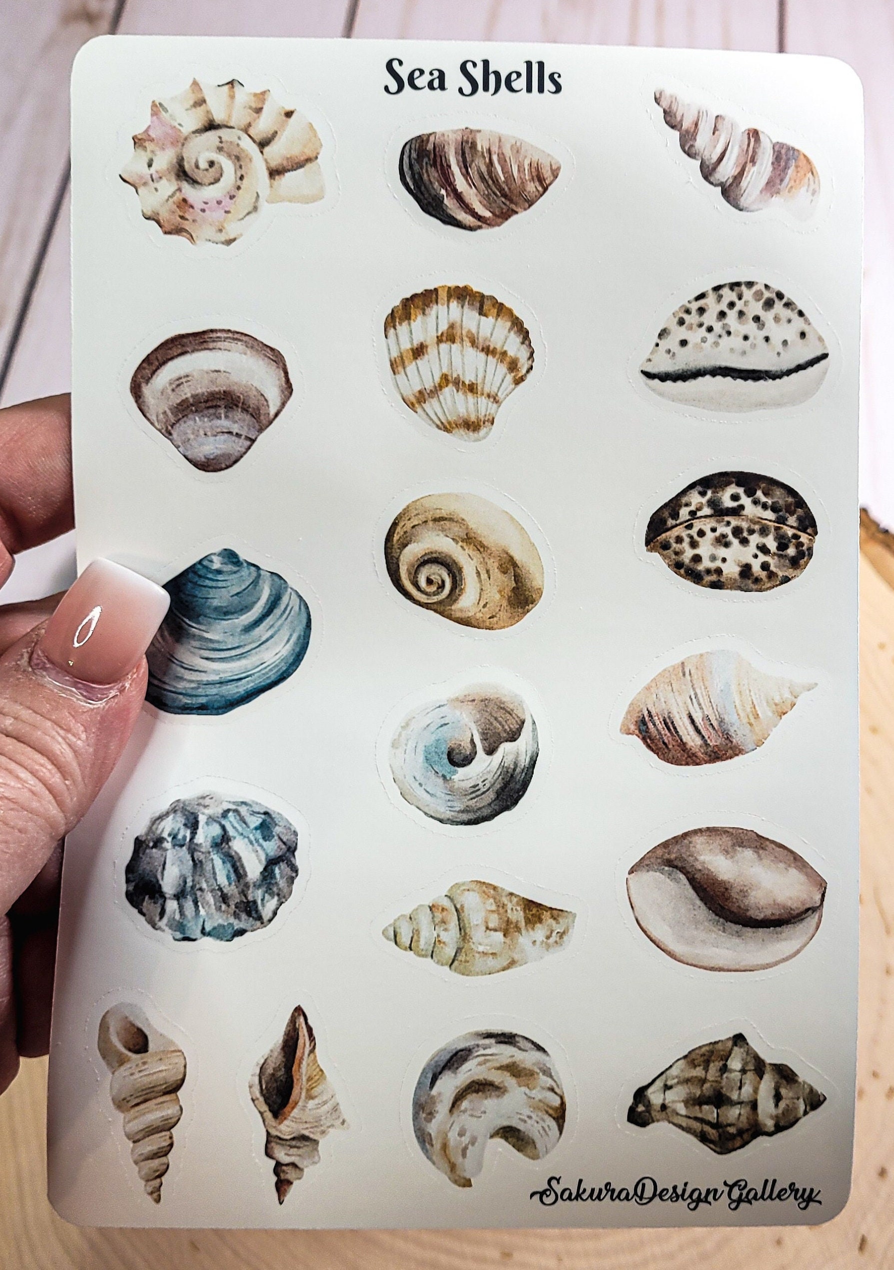 Pinterest Stickers Shells Seashells Sticker Sheet, Beach Stickers, Journal Stickers, Scrapbook ...