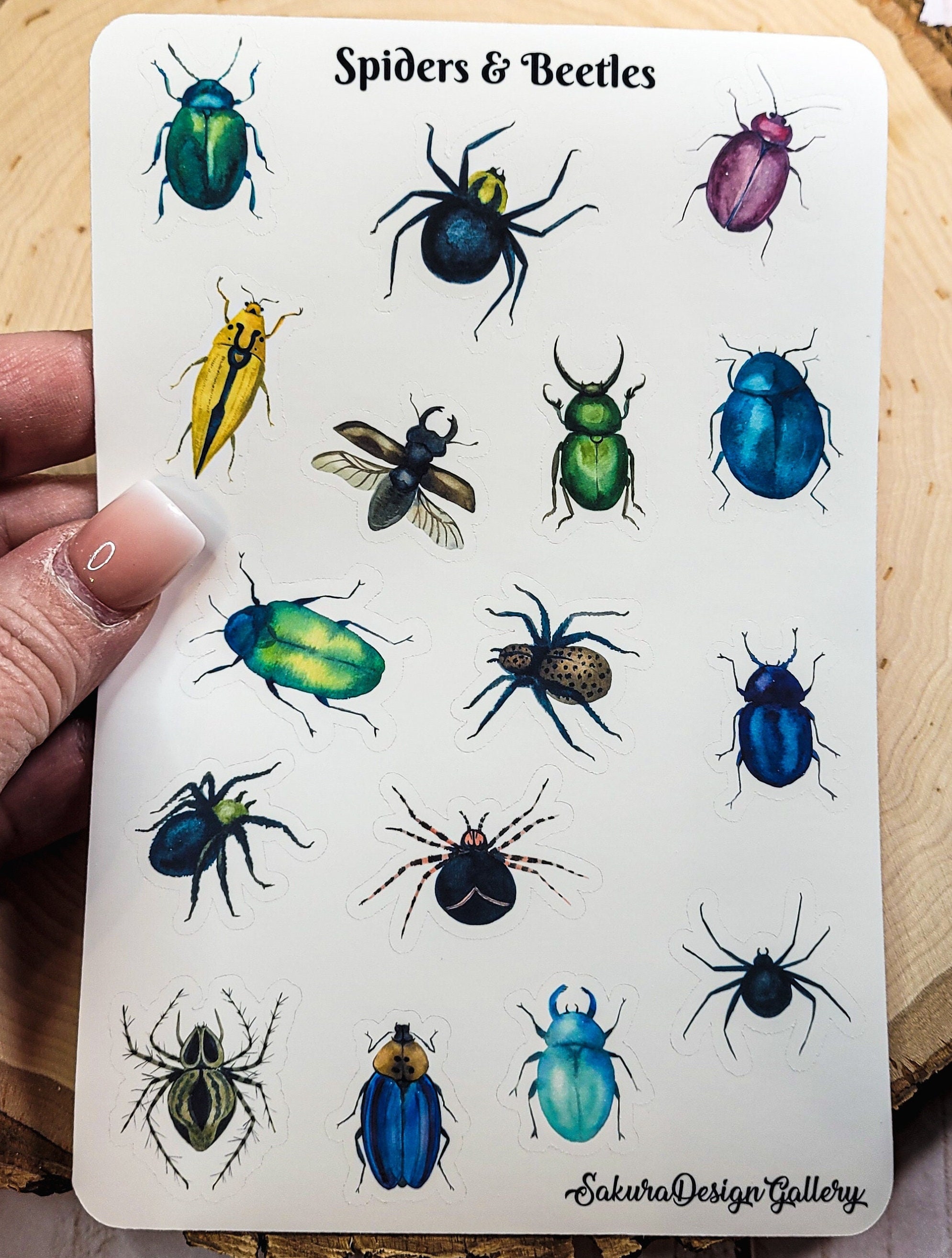 Spiders & Beetles Sticker Sheet, Bug Stickers, Insect Stickers, Journal ...