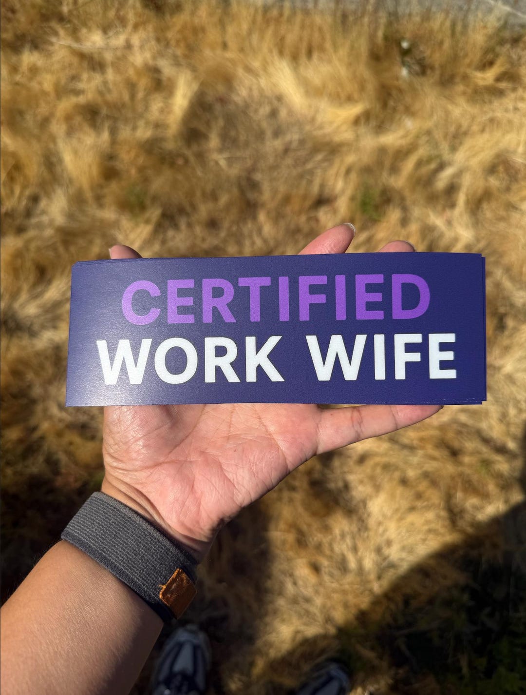 Certified Work Wife Sticker – Funny Office Gift for Coworker, Work ...
