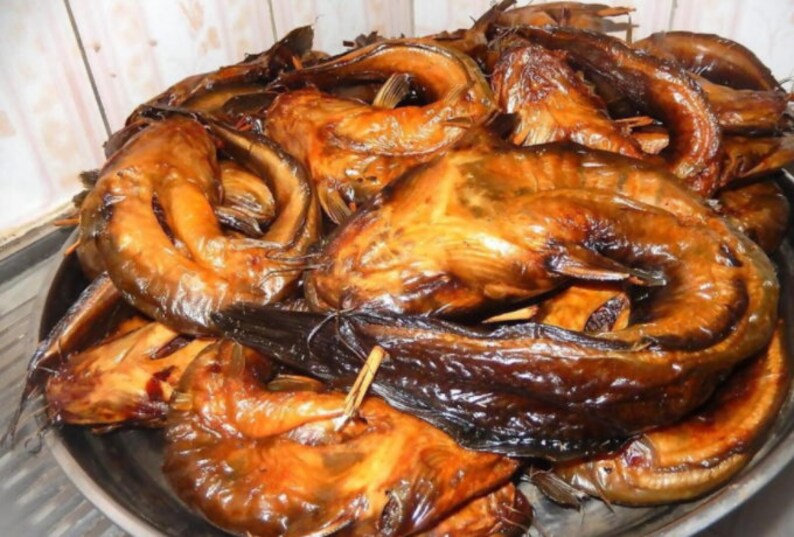 5 CATFISH/ cat nigerian fish/efo riro fish/ cat oven dry Etsy