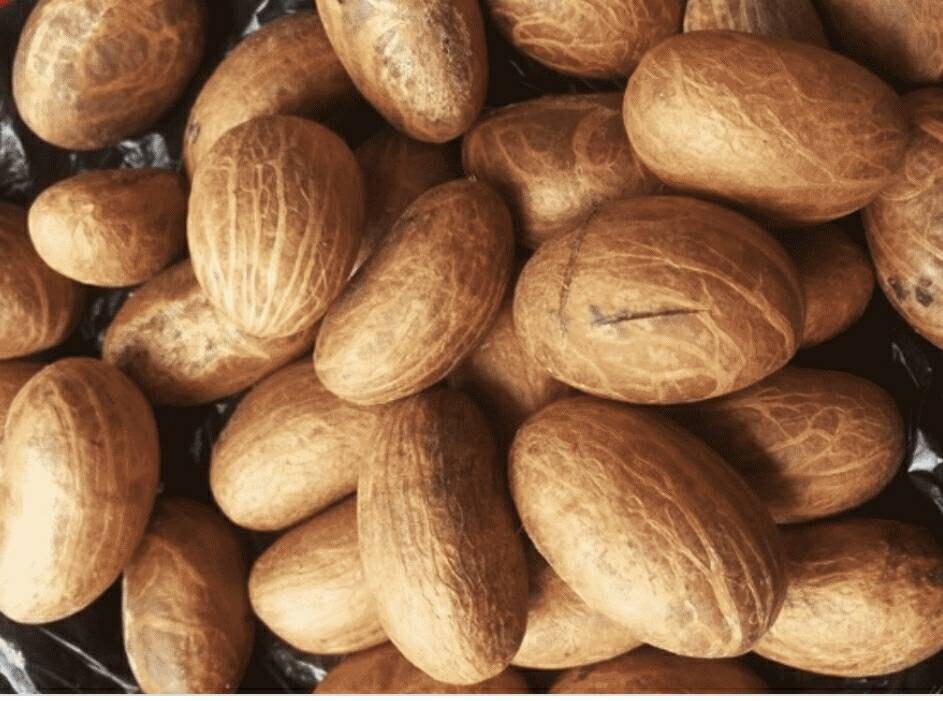 Nuts/ Fresh Bitter Kola kolakola Garcinia Kola. Akiilu. Miji Etsy