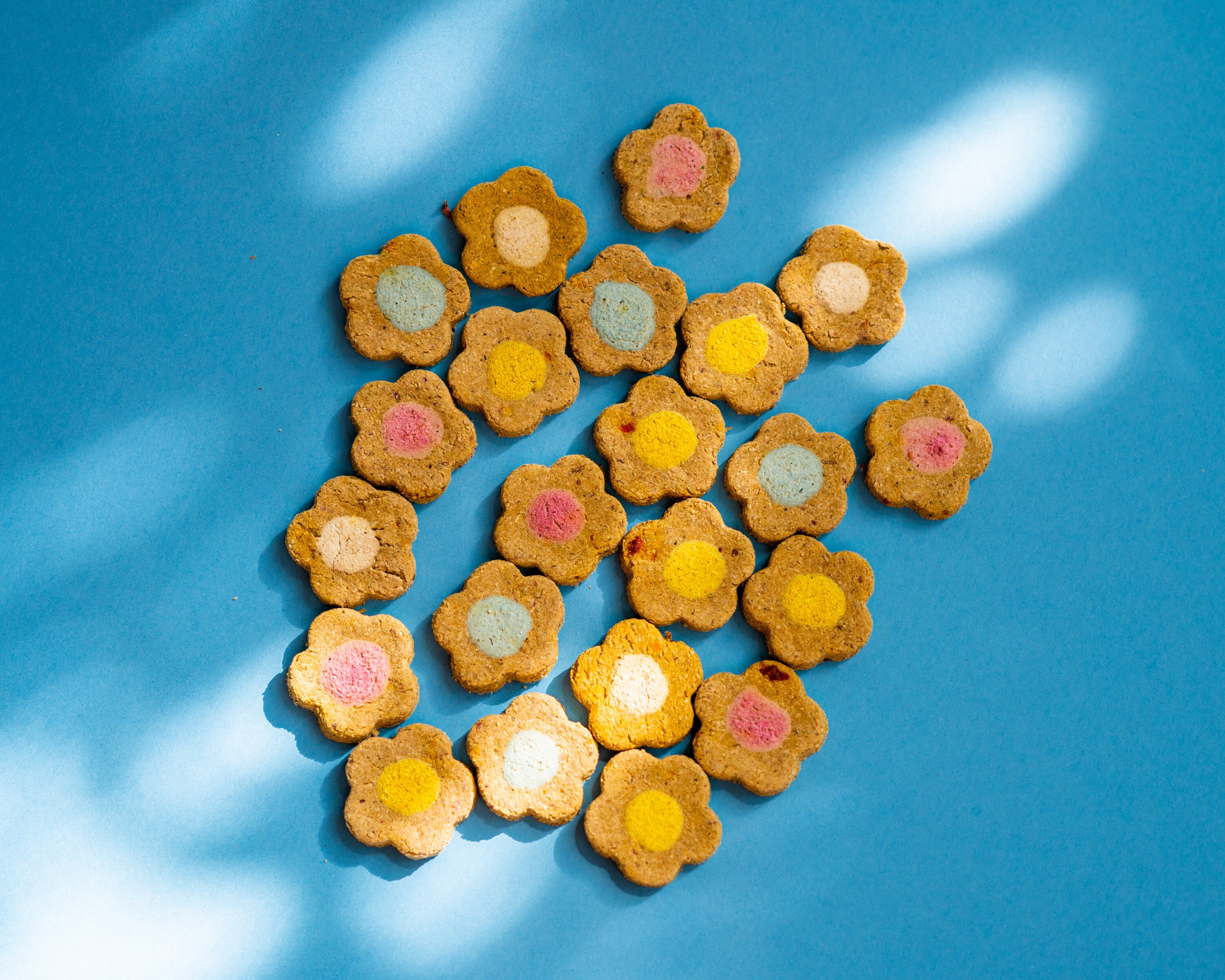NEW Rose-berry Cookies | Rabbit, Guinea Pig, Hamster Treats