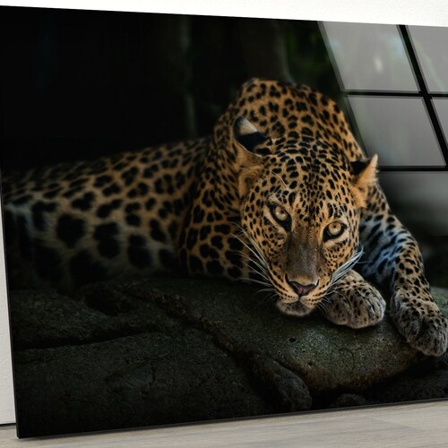 Tempered Glass Wall Art Leopard Extra Large Wall Decor Etsy