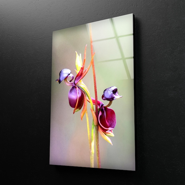 Orchid Wall Art Etsy