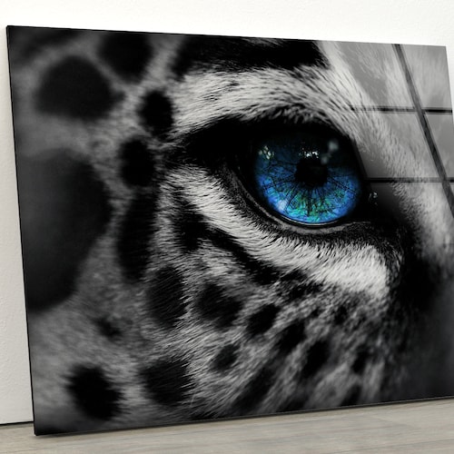 Tempered Glass Wall Art Wall Art Wall Decor Home Decor Etsy