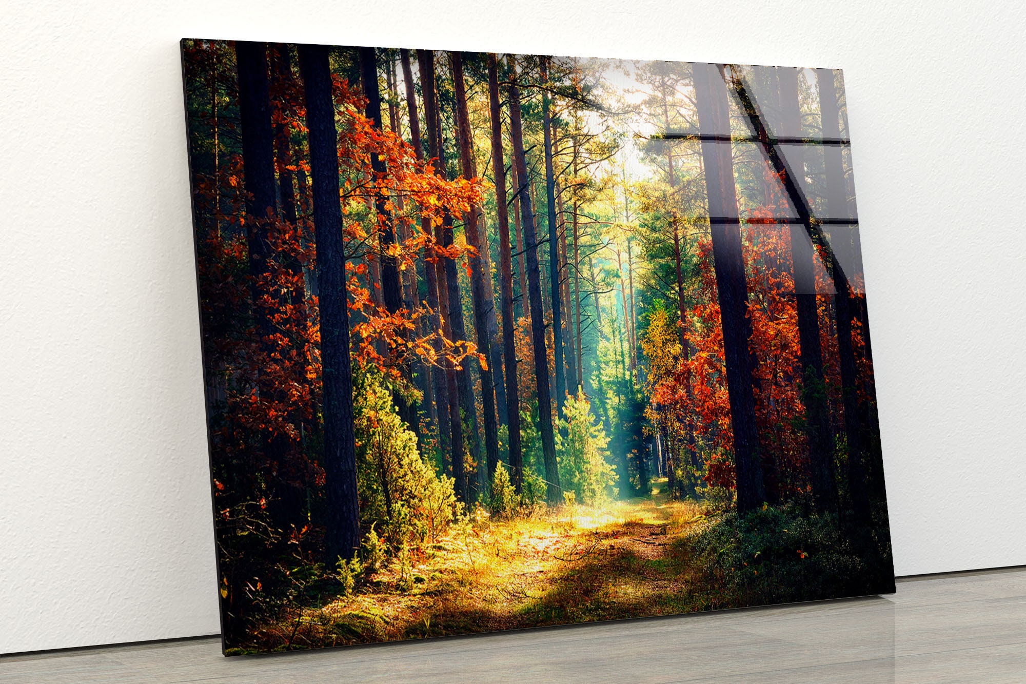 Extra Large Wall Arttempered Glass Printing Wall Decorhome Etsy UK