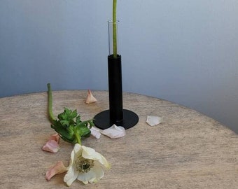 Test tube Vase for Flowers or Plant Propagation