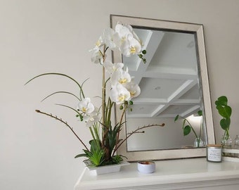 White orchid with moss and white plate base