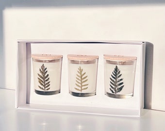 Christmas tree scented candle gift set featuring real pressed foliage