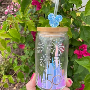 Iced Coffee Cocktail Beer Soda Can Glass Cup WDW Disney Castle 50th Icon Inspired - Great Gift 16oz