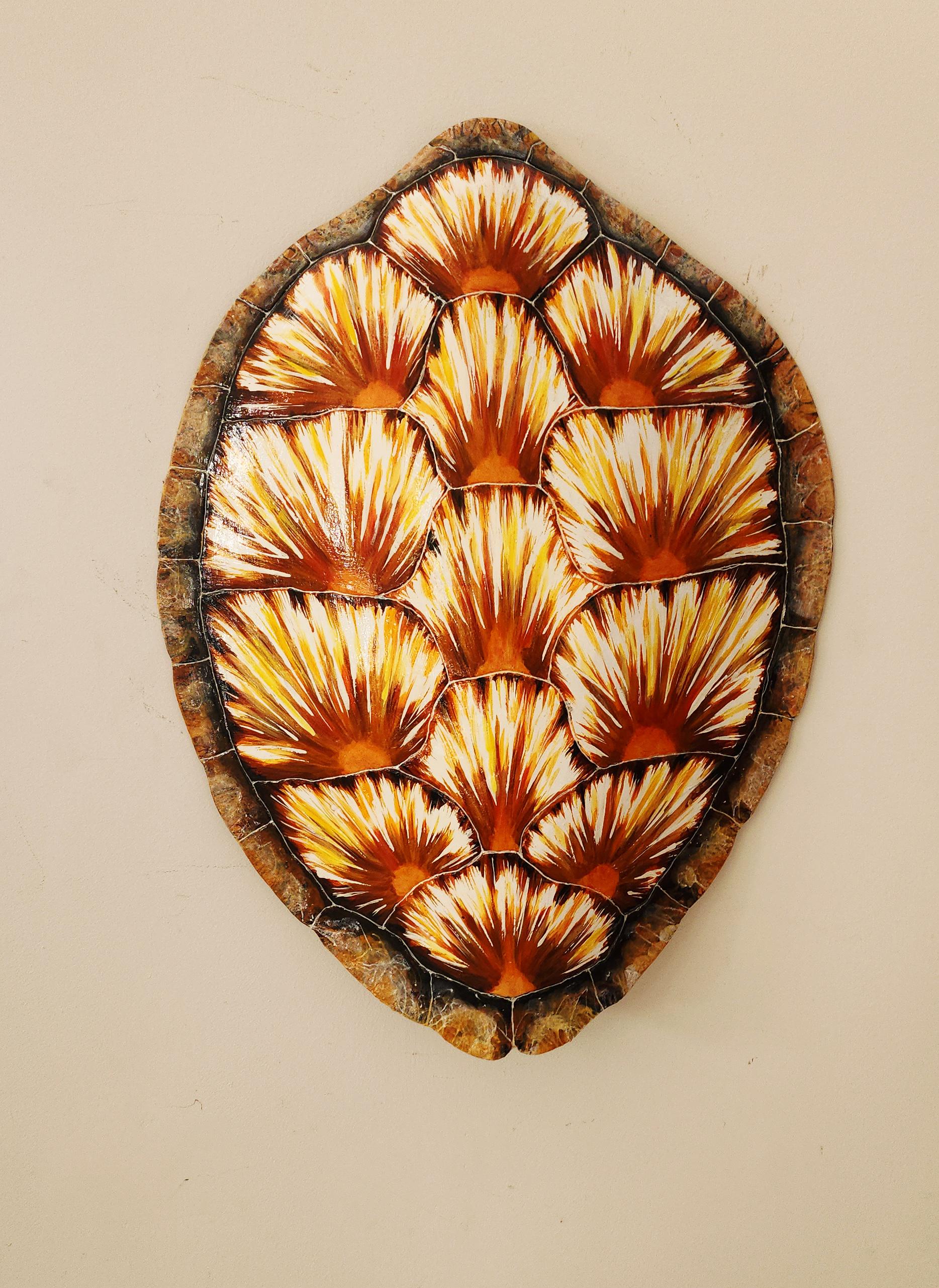 Green Turtle Shell - Etsy
