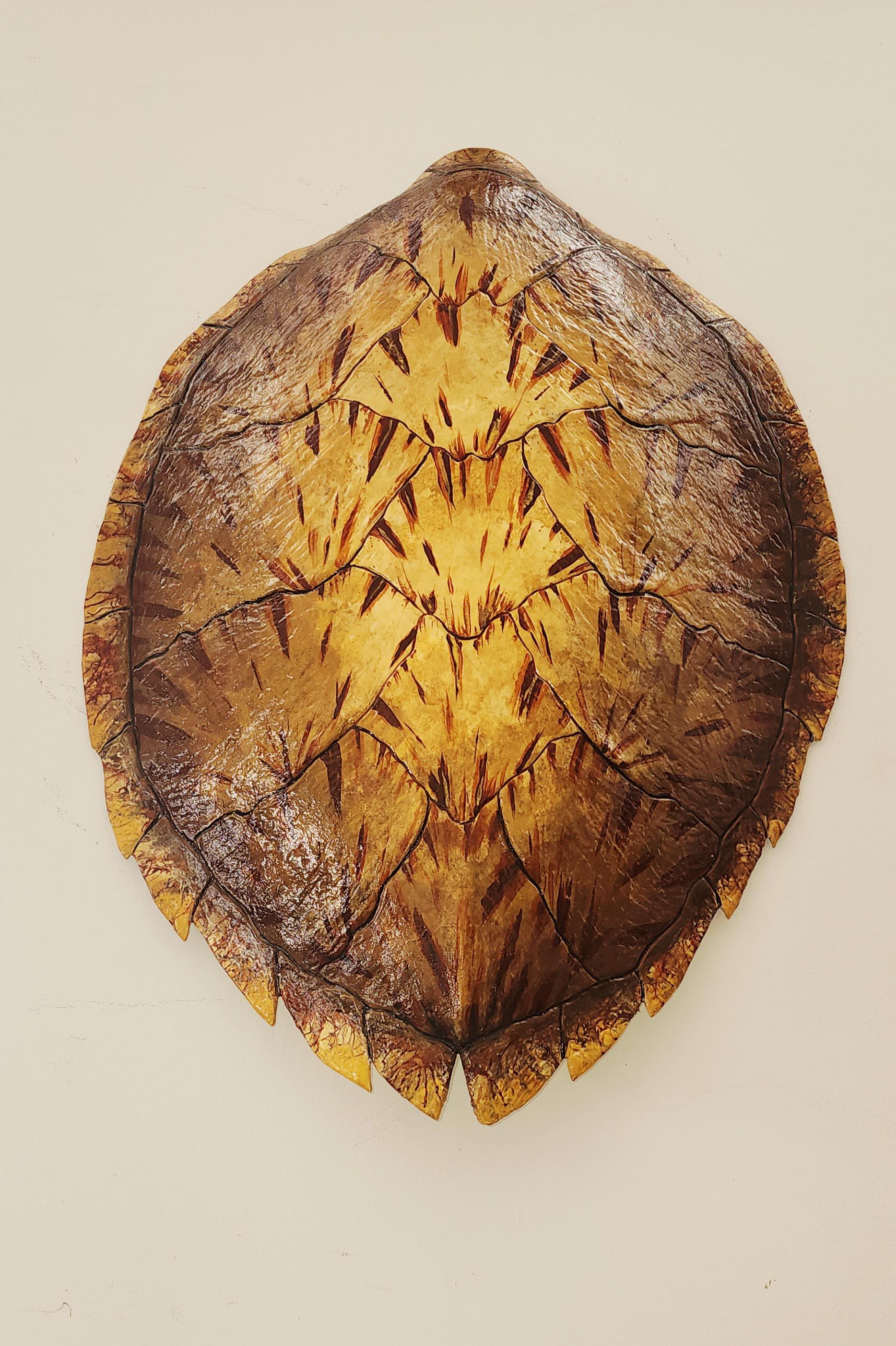 Green Turtle Shell - Etsy