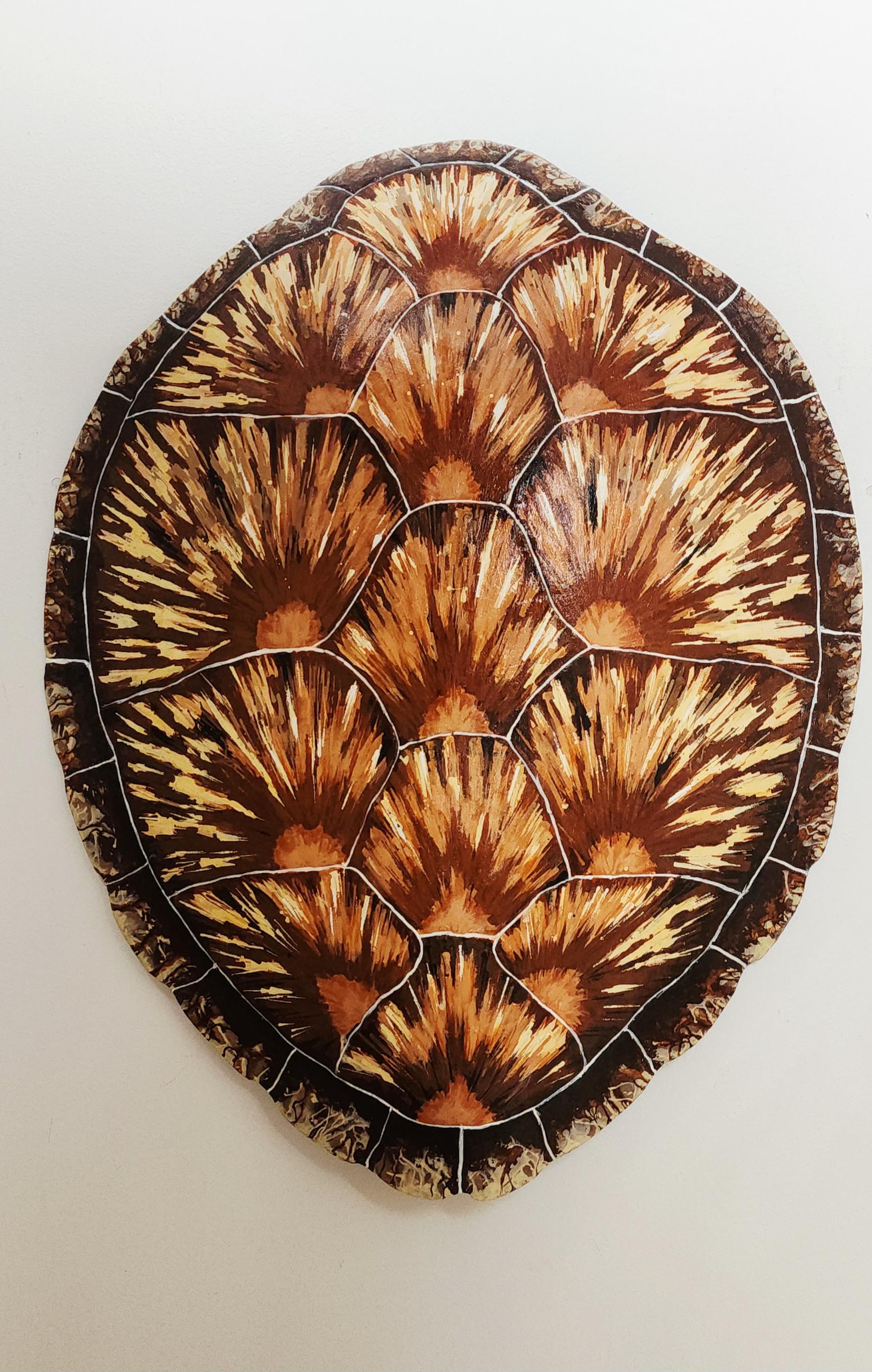Green Turtle Shell - Etsy