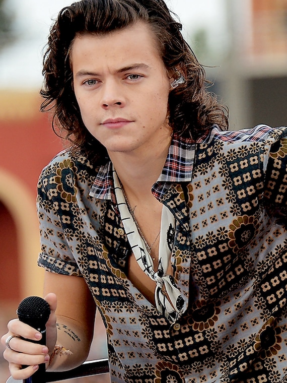 Harry Styles DIY Diamond Painting 5D Full Square/Round Drill Etsy