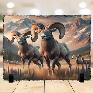 Colorado Mountain Big Horn Sheep Photo Slate, Snow Capped Mountains Display Stand, Unique Gift For Fathers Day, Nature-Inspired Home Decor