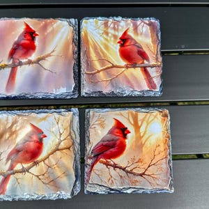 Kardinal-Untersetzer-Set, Schiefer-Untersetzer-Set 4, Vogel-Liebhaber-Geschenk, Weihnachtsgeschenk für sie, Vogel-Untersetzer, Kardinal-Enthusiast-Geschenk, Vogelliebhaber