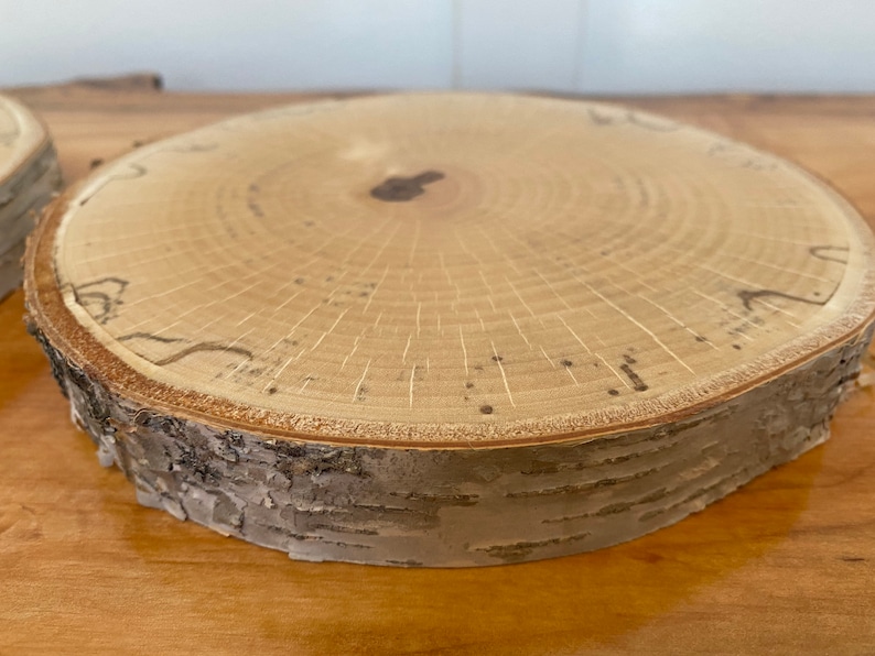 Birch Live Edge Candle Holder Trivet Decor Decoration Etsy