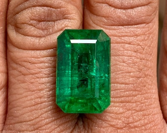 Zambian Emerald: 23.45 Carat Royal Green Gemstone (19.5x12.50 MM)