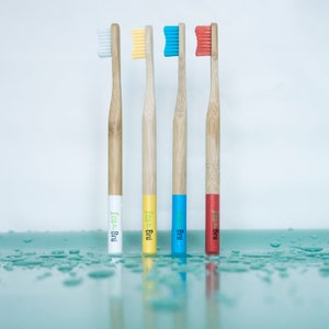 Lot de 2 brosses à dents en bambou EcoBru - 2 brosses à dents dans une boîte en bambou