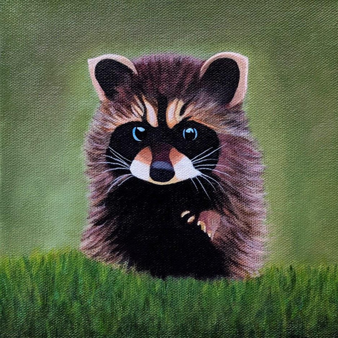 Curious Coon. Baby Raccoon Acrylic Painting on 8 X 8 Wrapped Canvas ...