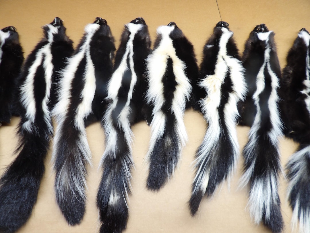 トップス share spirit skunk fur best sheep wool il_1080xN.6485396709_8r9b.jpg