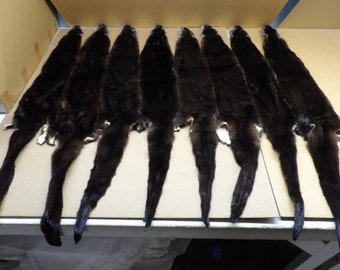 XXL Otter hide Professionally tanned #1 grade/Pelt/Fur/hair ties